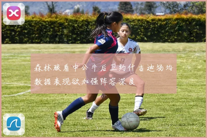 森林狼看中公牛后卫约什吉迪场均数据表现欲加强阵容深度