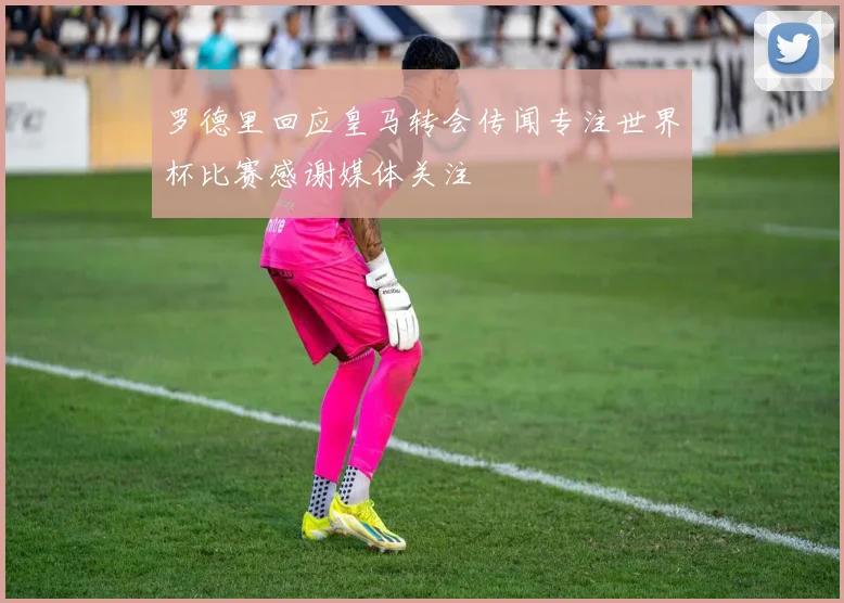 罗德里回应皇马转会传闻专注世界杯比赛感谢媒体关注